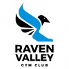 Raven Valley Gymnastics Club